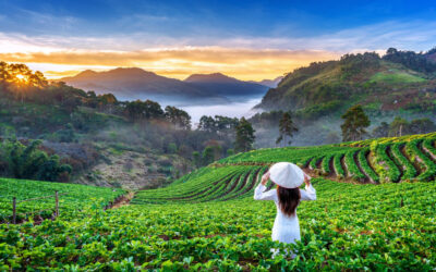 Exploring Darjeeling: A Must-Visit Destination for Every Traveler